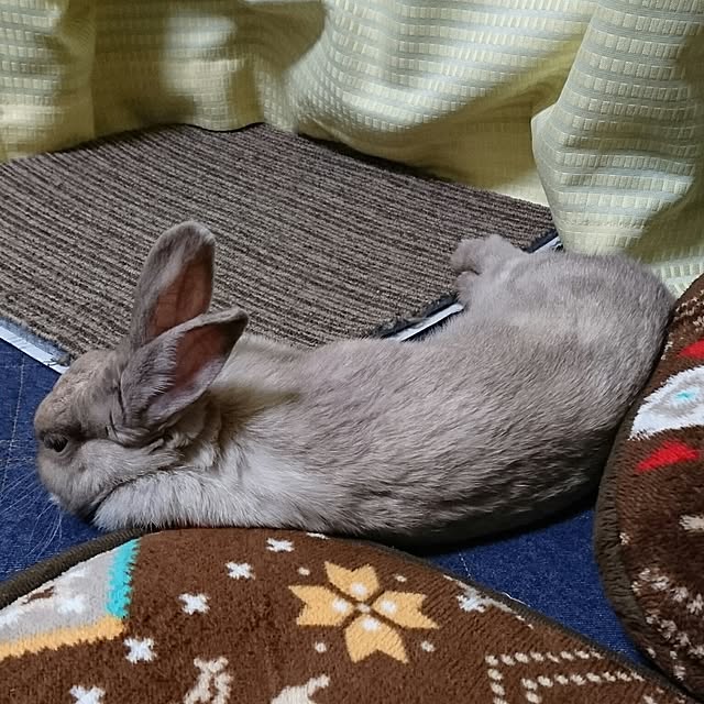 miru-neさんの実例写真