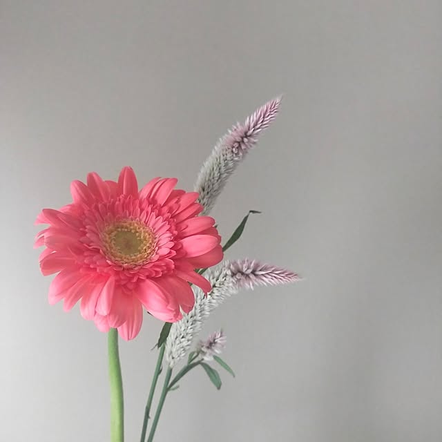 yk143さんの実例写真