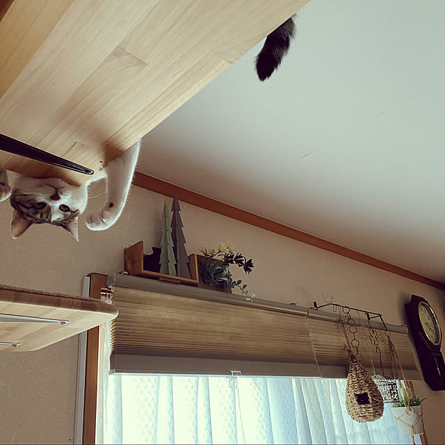 Lufuさんの実例写真