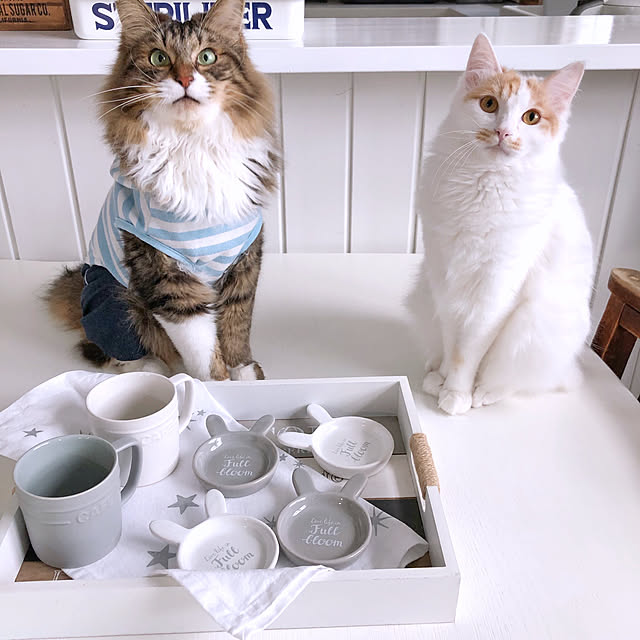 yuchiさんの実例写真
