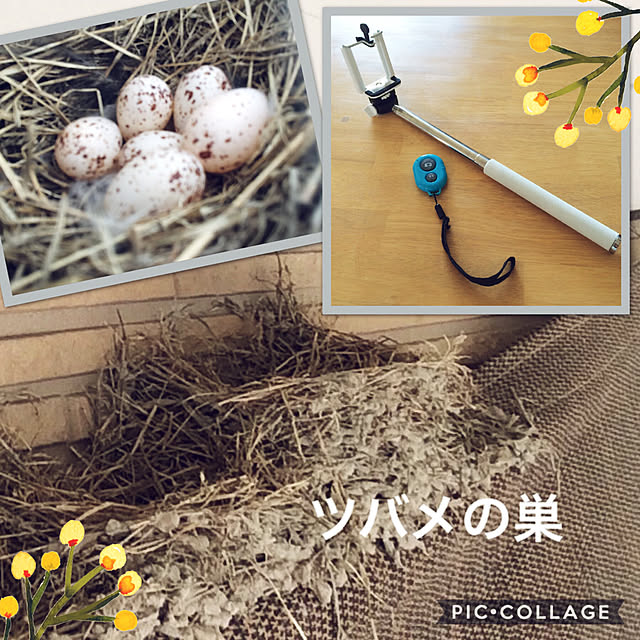 merutoさんの実例写真