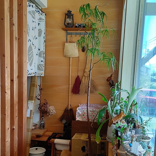 t.yumiさんの部屋