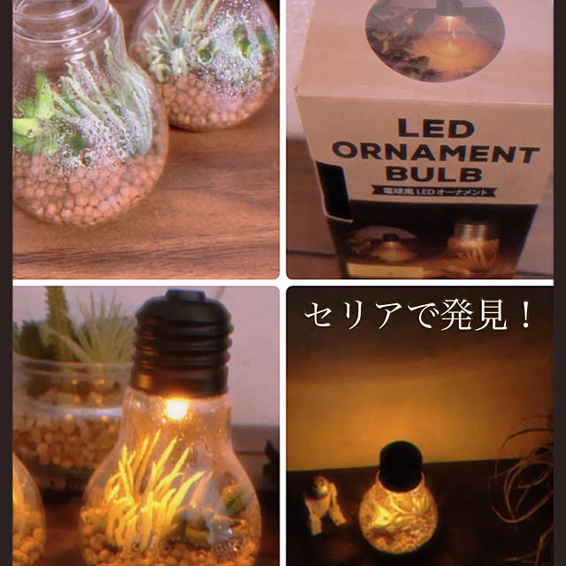 maimaiさんの実例写真