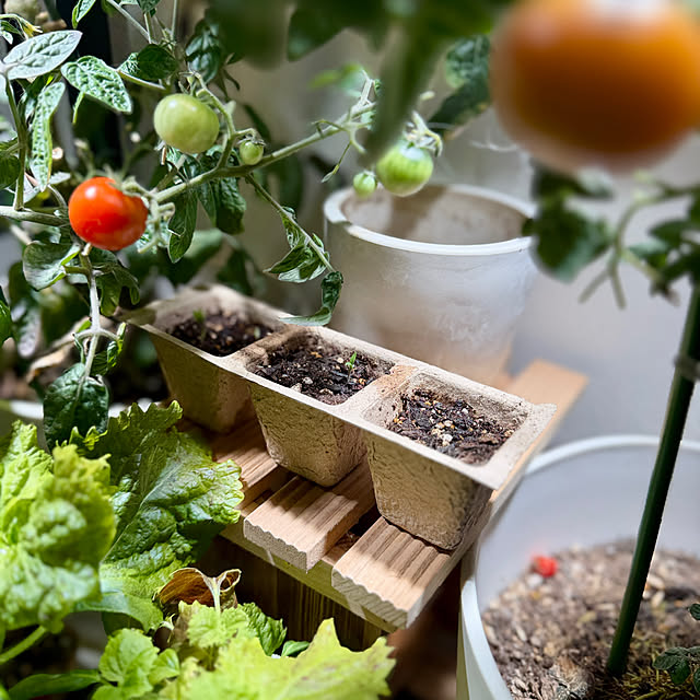 yutaさんの実例写真