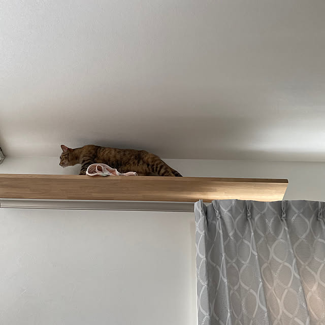 satopiさんの実例写真