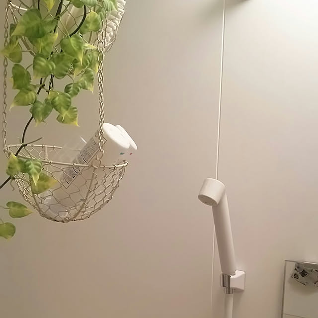 nonさんの実例写真
