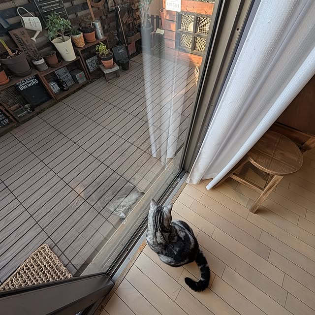 lovepeaceさんの実例写真