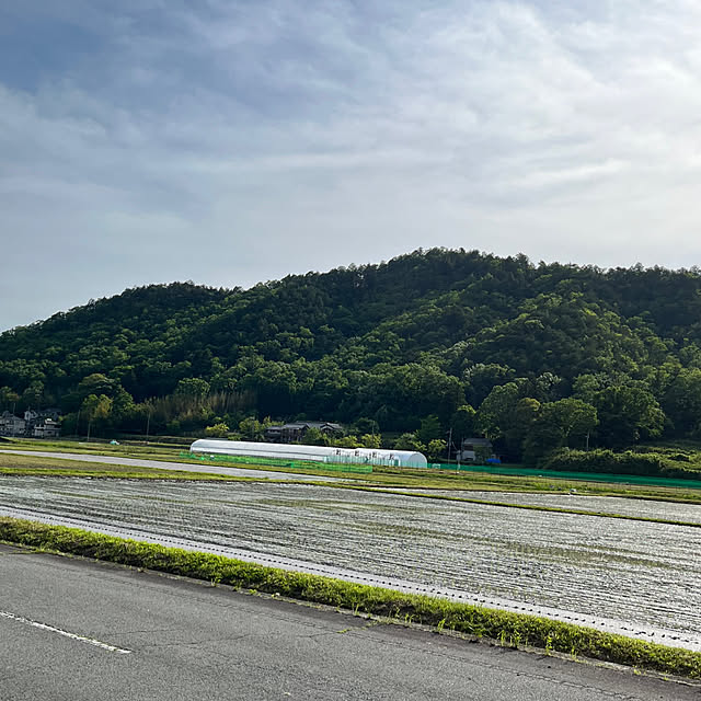 cota2さんの部屋