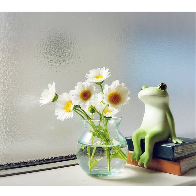 aquaさんの実例写真