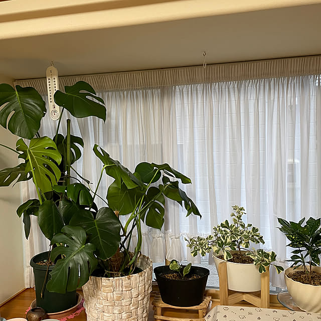 kakoさんの部屋