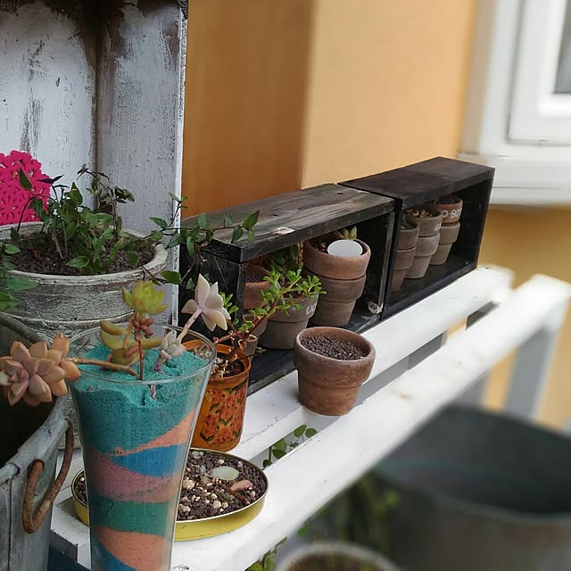 kikusukeさんの実例写真
