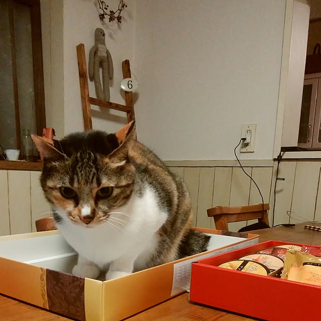 tomo1220さんの実例写真
