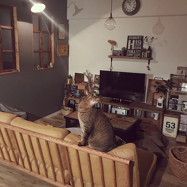 beansさんの実例写真