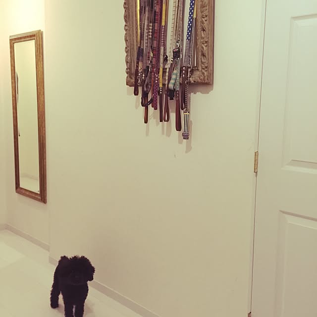 chiiさんの実例写真