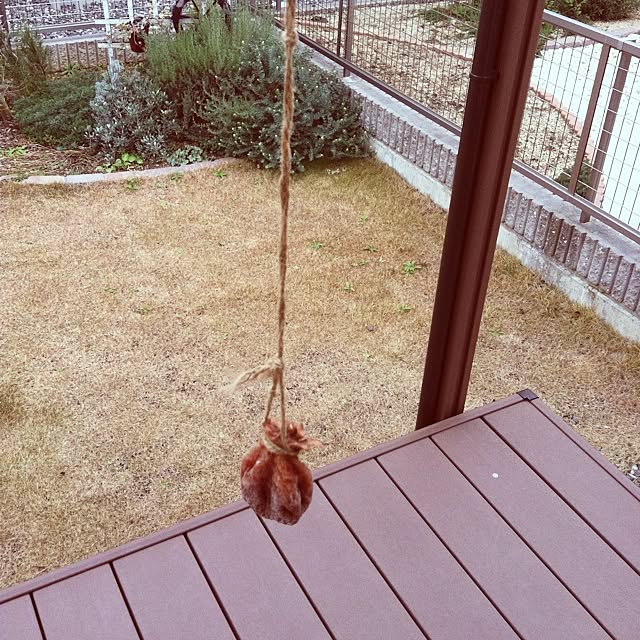 todさんの実例写真