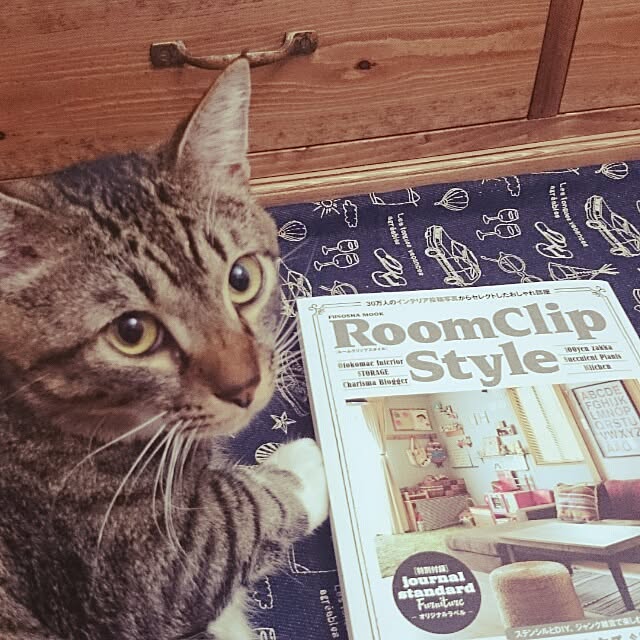 yockenさんの実例写真