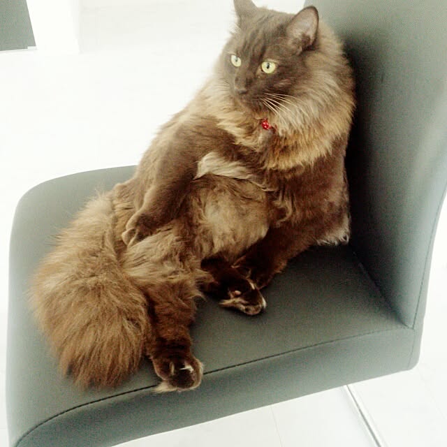 OtOさんの実例写真