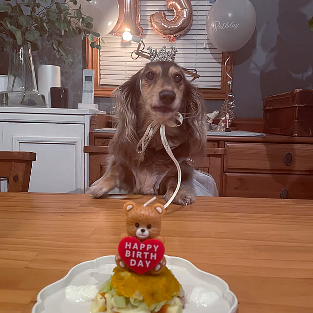 yupponさんの実例写真