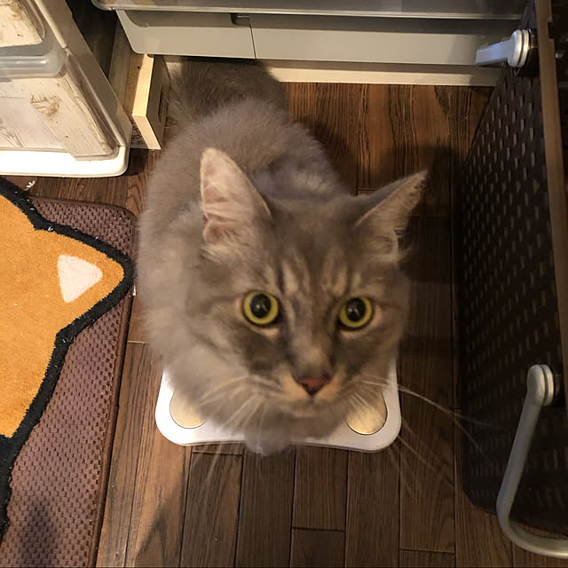 naworinさんの実例写真
