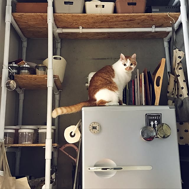mashさんの実例写真