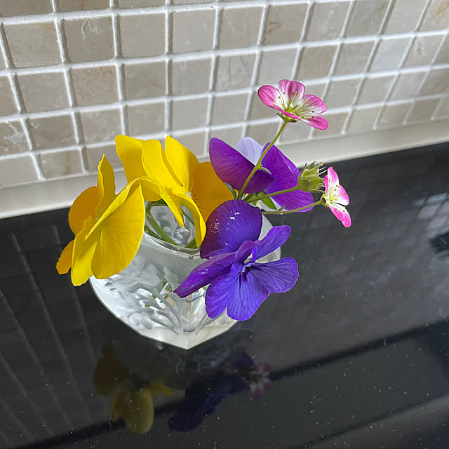 Yumiさんの部屋