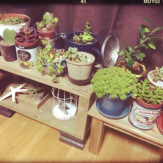 Kaoriさんの実例写真