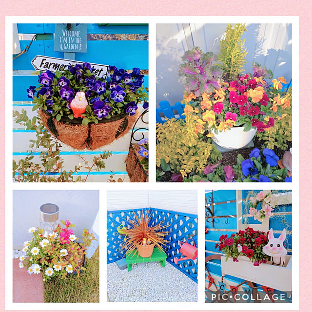 Miyumamaさんの実例写真