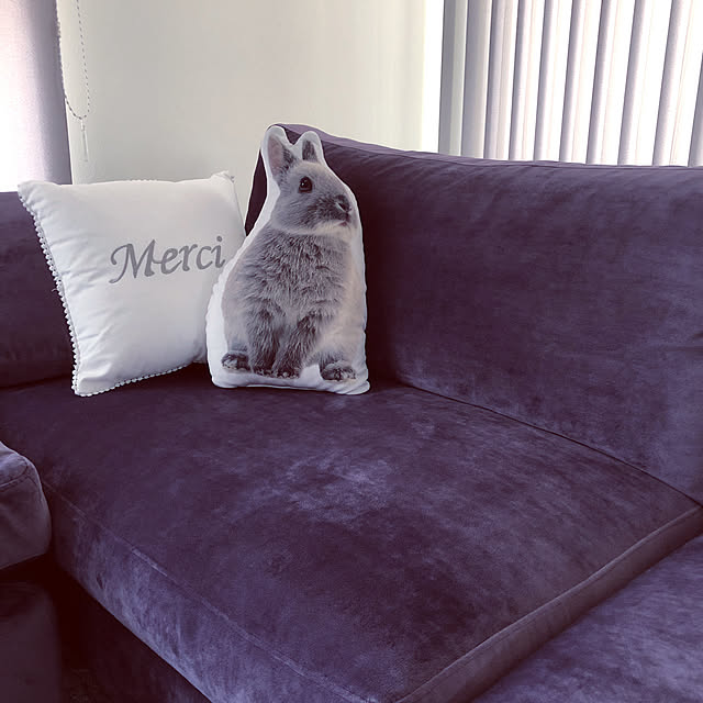 Marieさんの実例写真