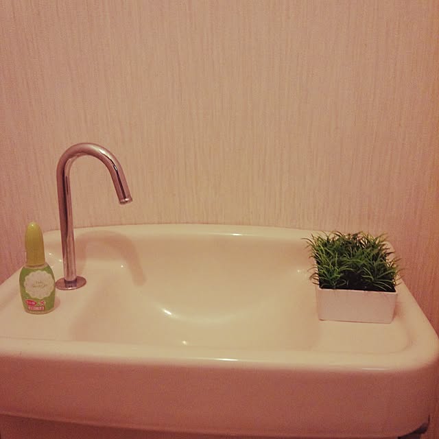 stephさんの実例写真