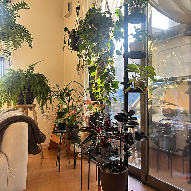 greycatsさんの実例写真