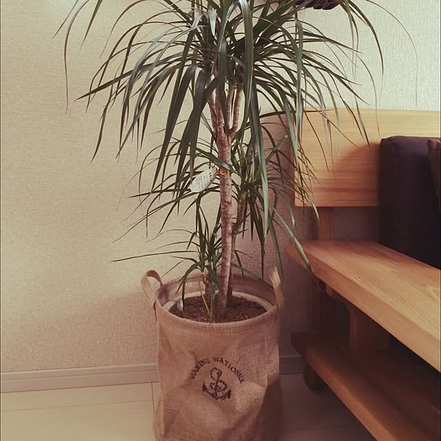 Mayuさんの実例写真