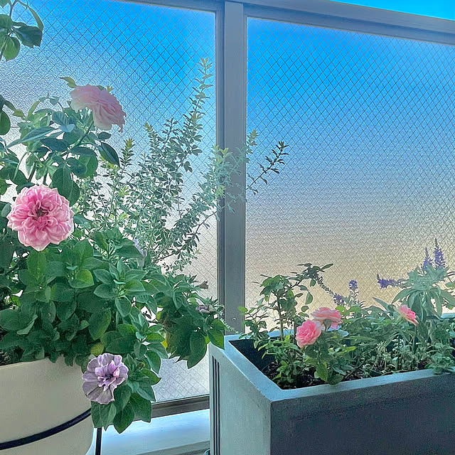 KLさんの部屋