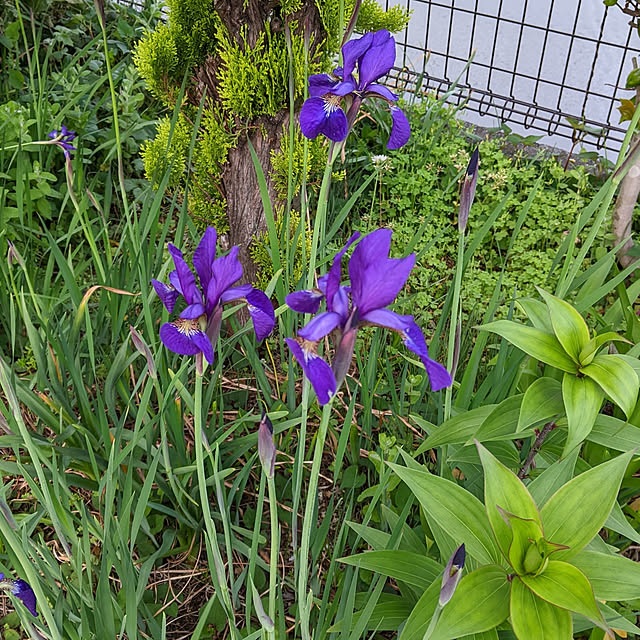 kouheiyuto24623takaさんの実例写真