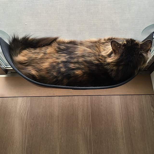 mikomaruさんの実例写真