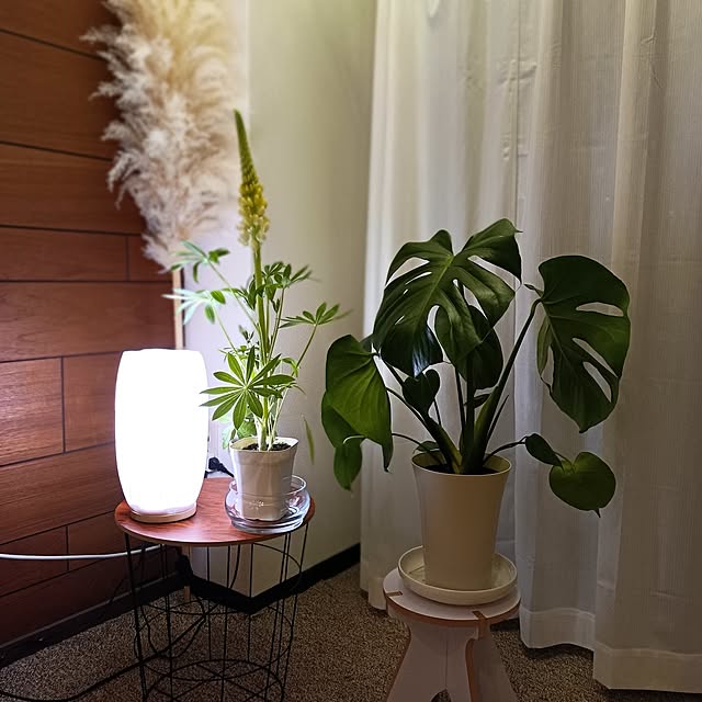 hisaさんの部屋