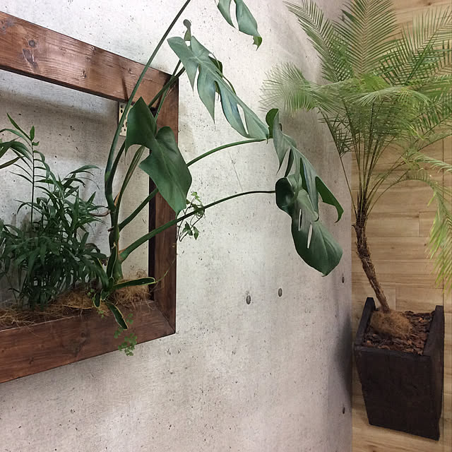 coco chaiさんの実例写真