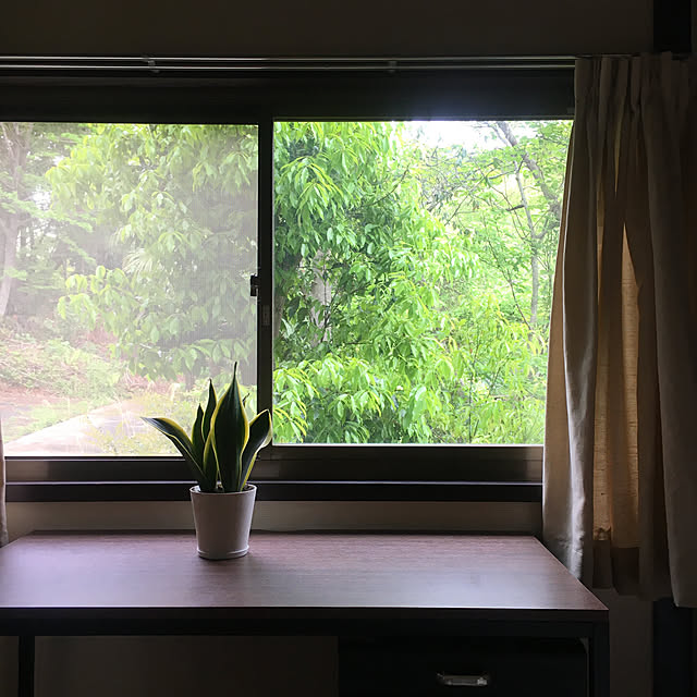机/サンスベリア/中古家具/和室インテリア/和室リフォーム...などのインテリア実例 - 2025-04-25 08:39:01