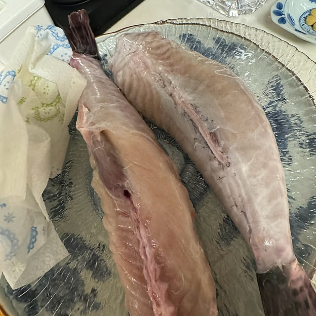 mamizaさんの部屋