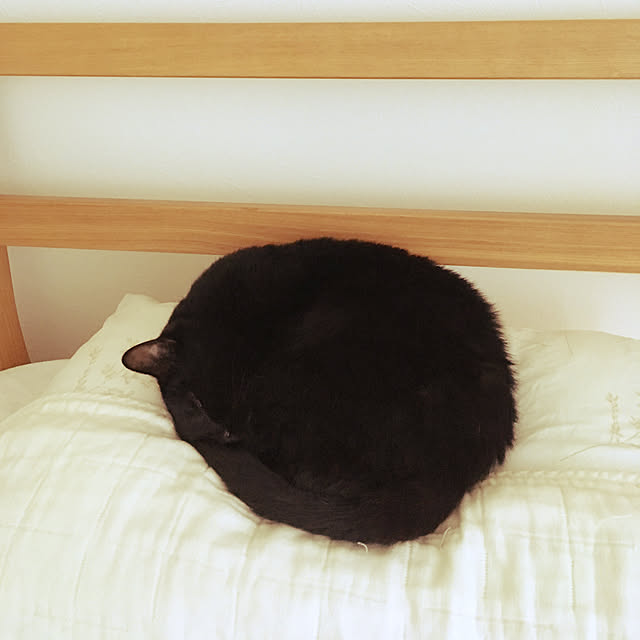 momoさんの実例写真