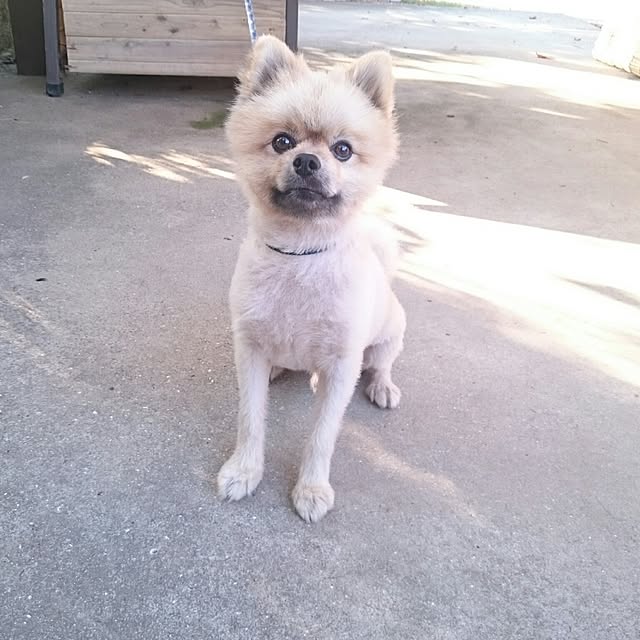 Lilyさんの実例写真
