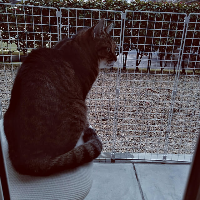 lilyさんの実例写真