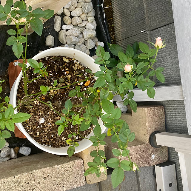 YuuKoさんの部屋