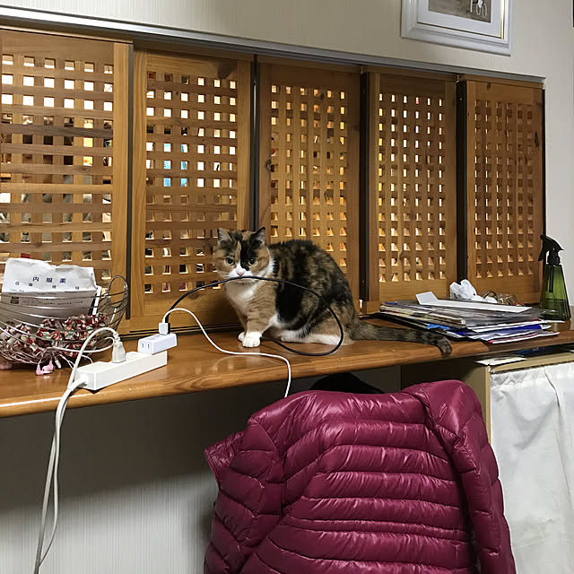 実例写真