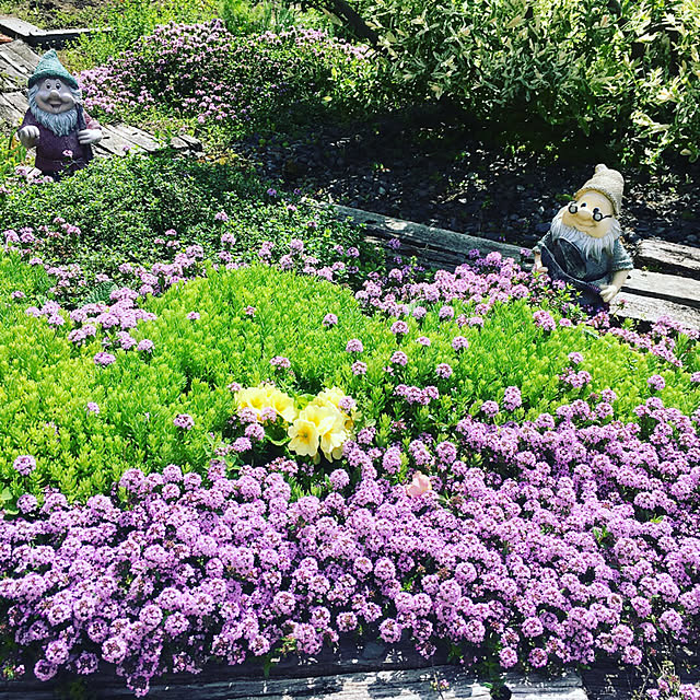 Marikoさんの実例写真
