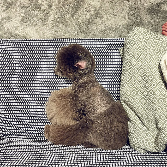 Shokanさんの実例写真