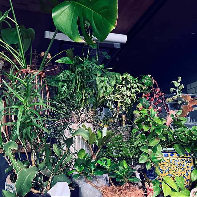 s.p.sunaoさんの実例写真