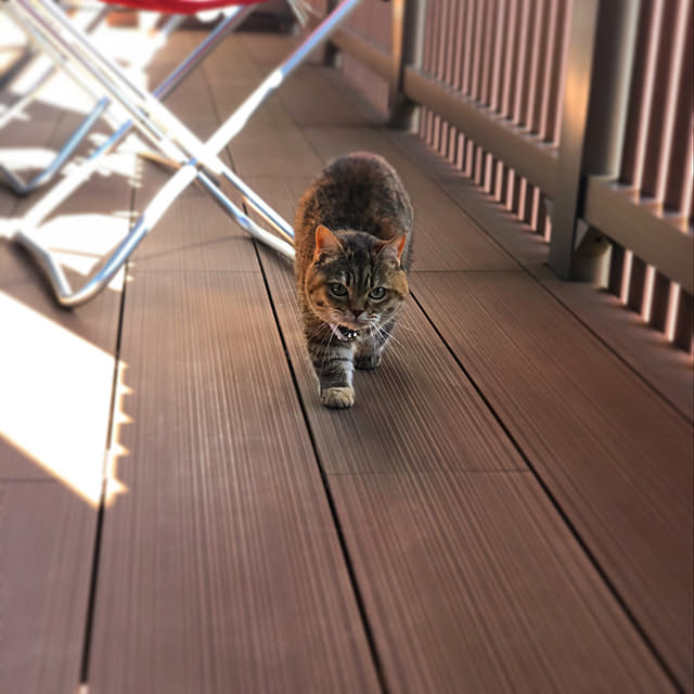 meloさんの実例写真