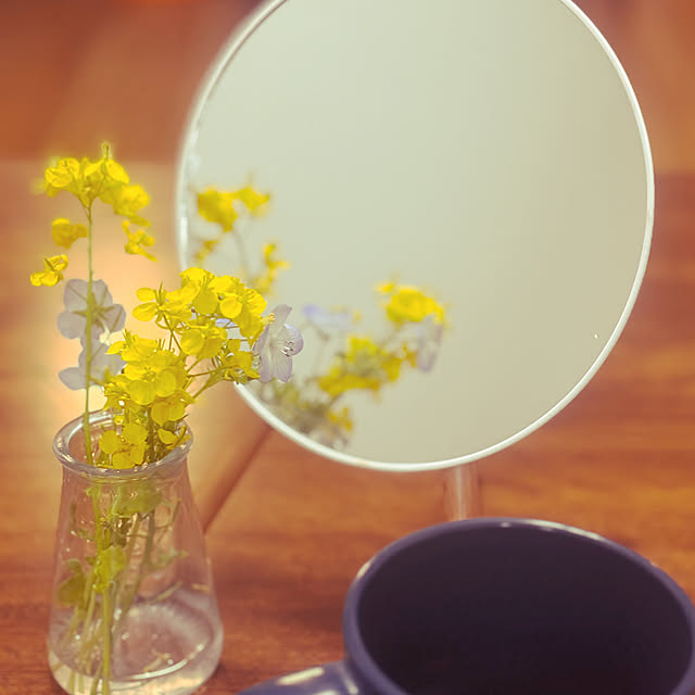 toufuさんの実例写真