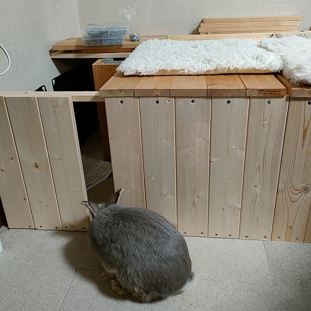 mori_6_12さんの実例写真