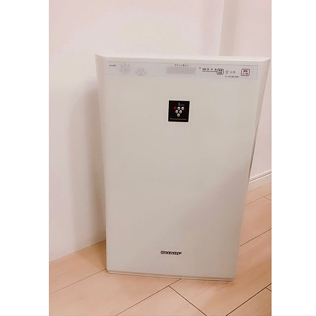 Ruiさんの実例写真